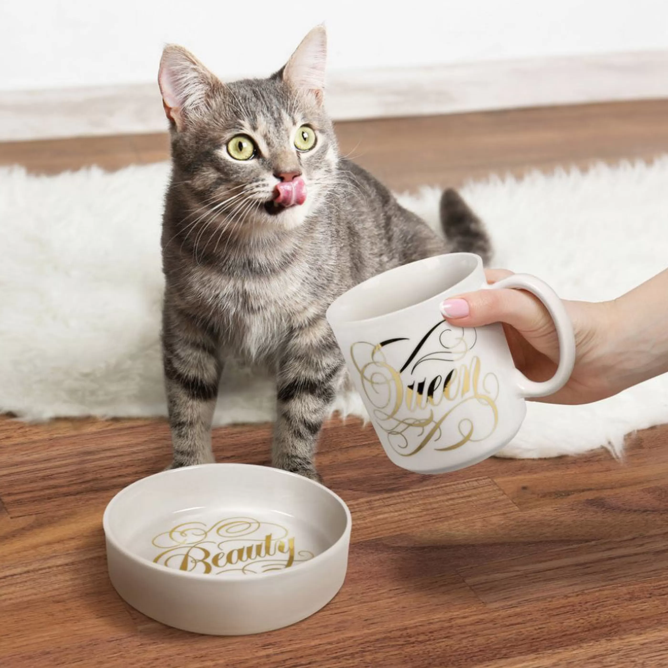 Fred & Friends Kitchen & Dining>Beauty Queen Ceramic Mug & Cat Bowl Set