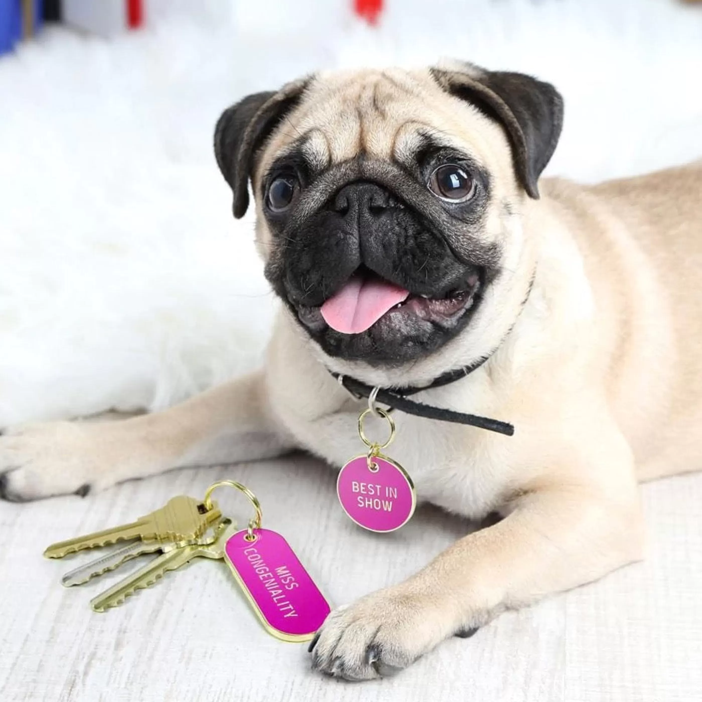 Fred & Friends Pins, Patches & Keychains>Best In Show Key Chain & Dog Tag Set