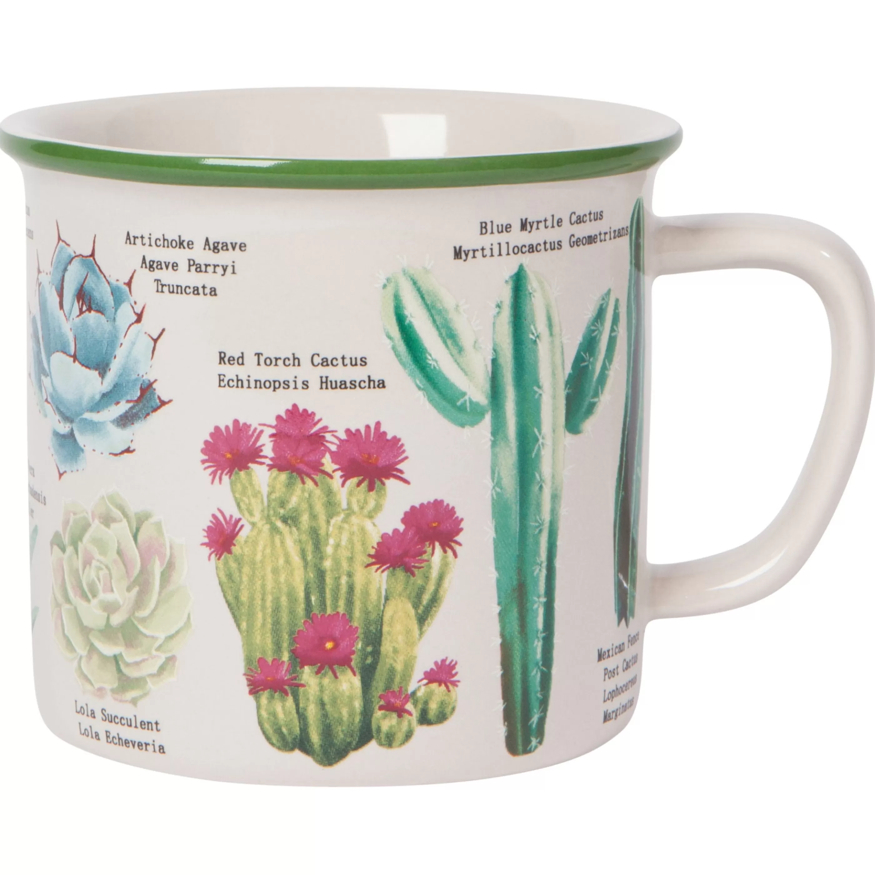 Danica Mugs>Botanical Cacti Heritage Mug