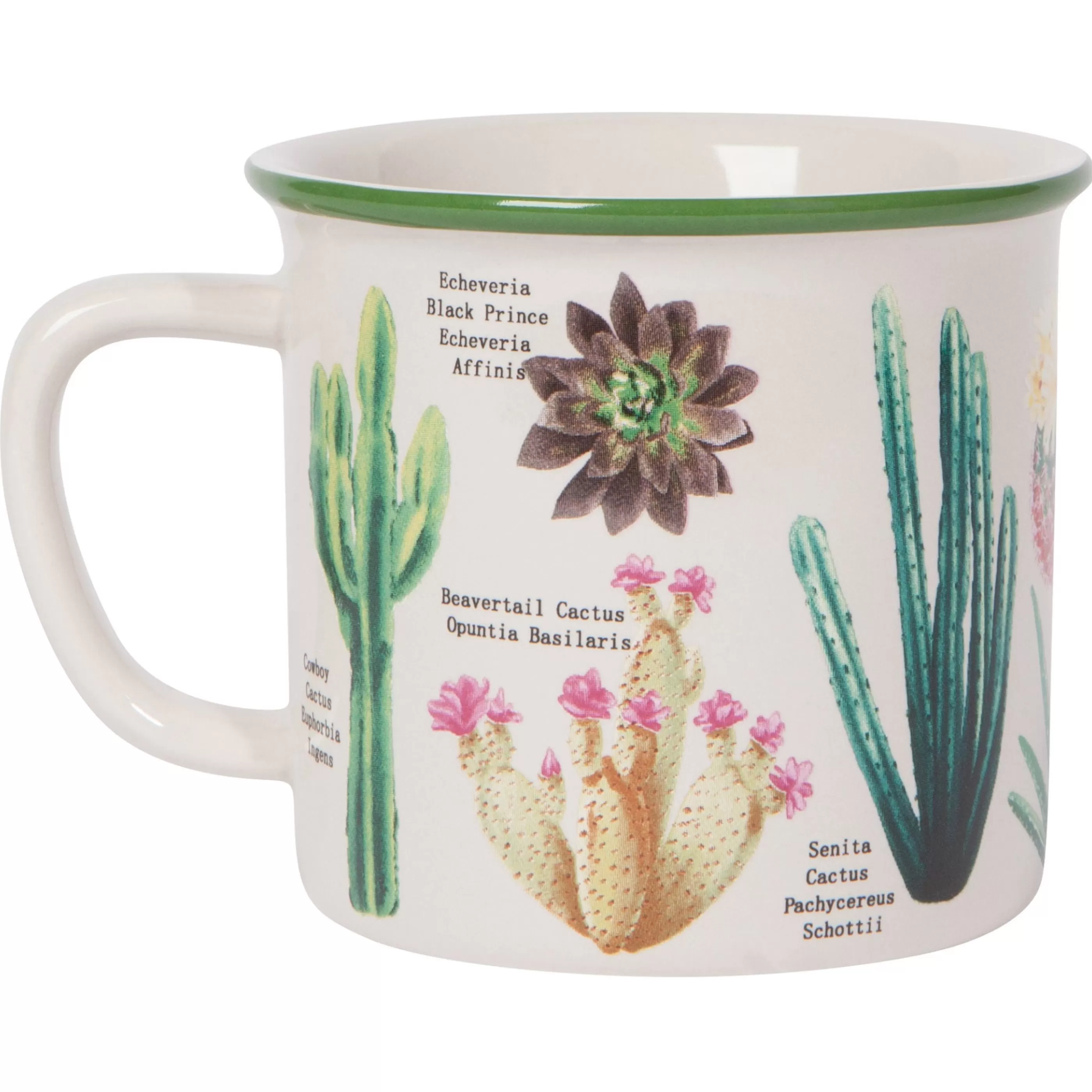 Danica Mugs>Botanical Cacti Heritage Mug