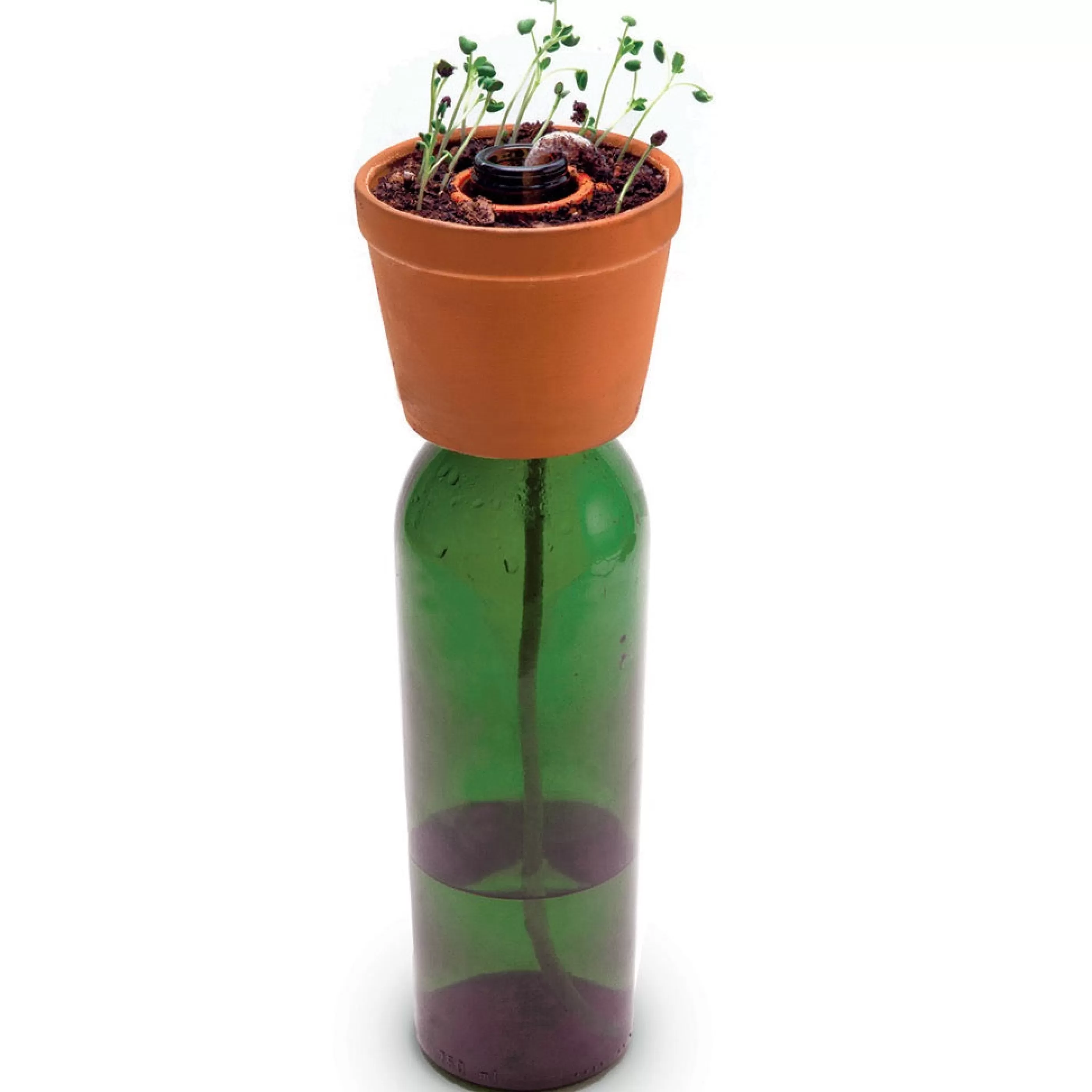 Kikkerland Home Accessories>Bottle Planter