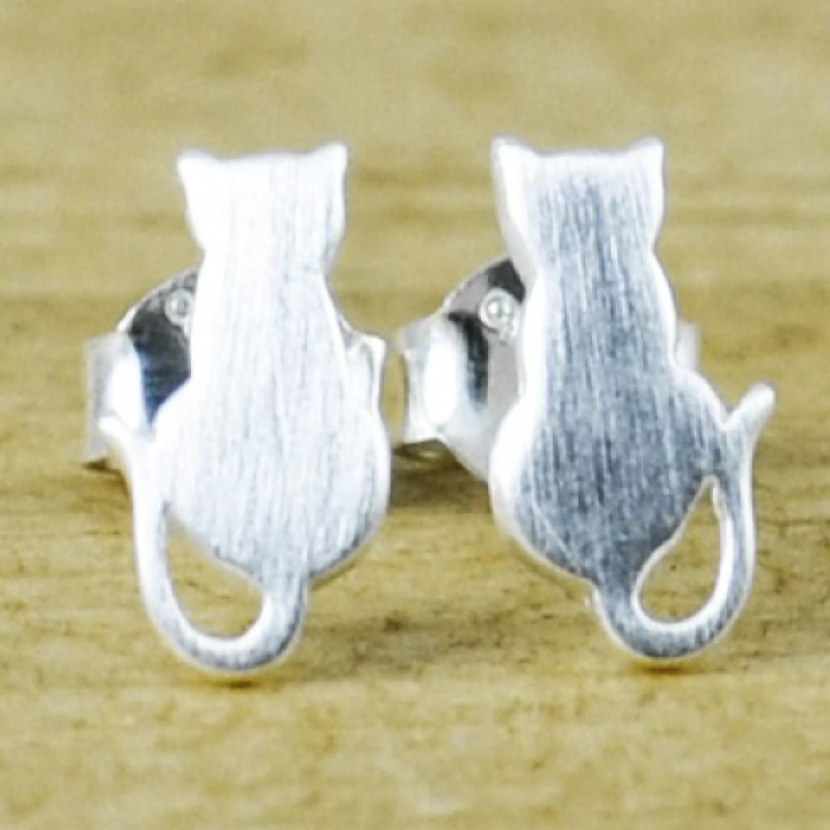 Tashi Jewellery>Cat Studs Brushed Sterling Silver