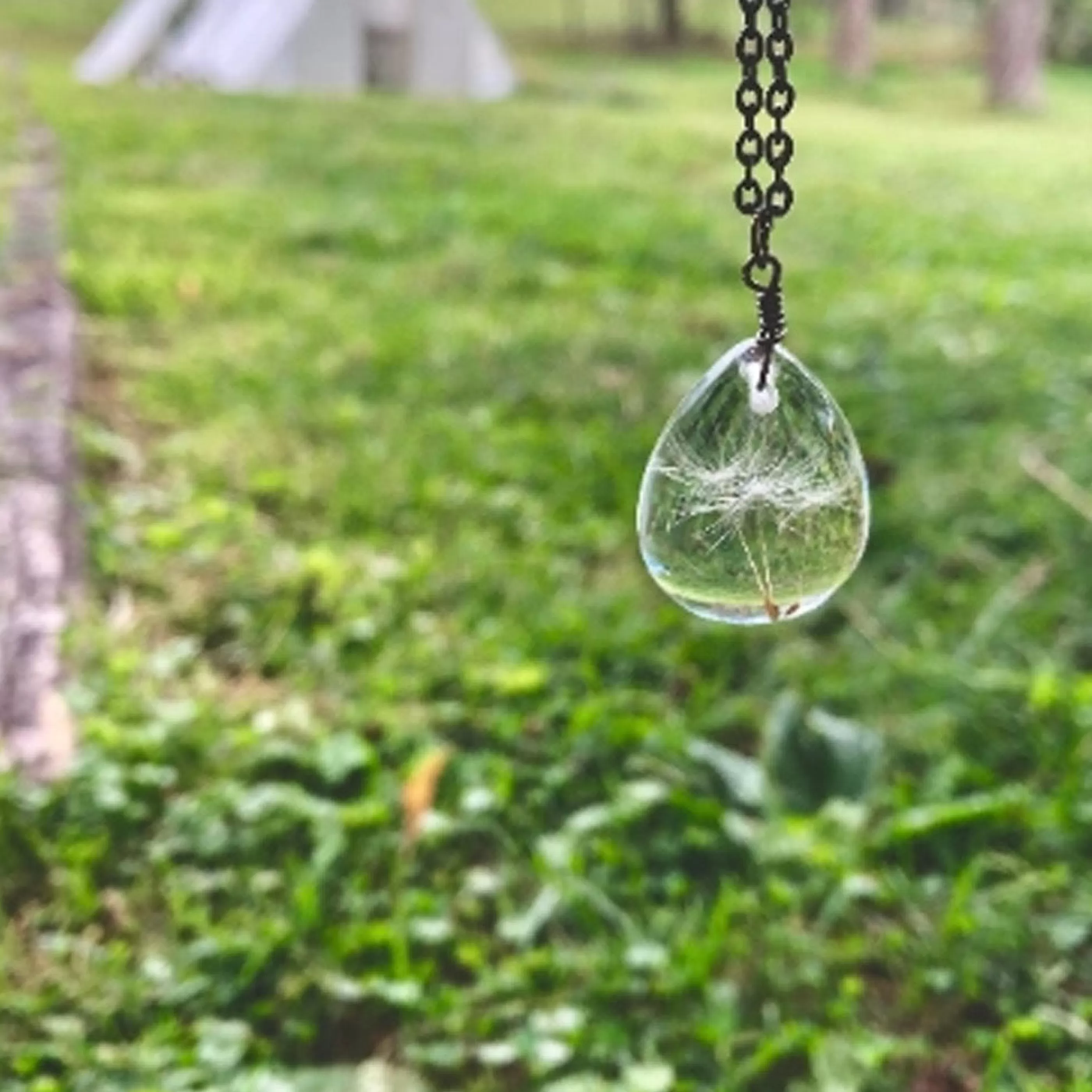 The Pretty Pickle Jewellery>Dandelion Seed Necklace Gunmetal