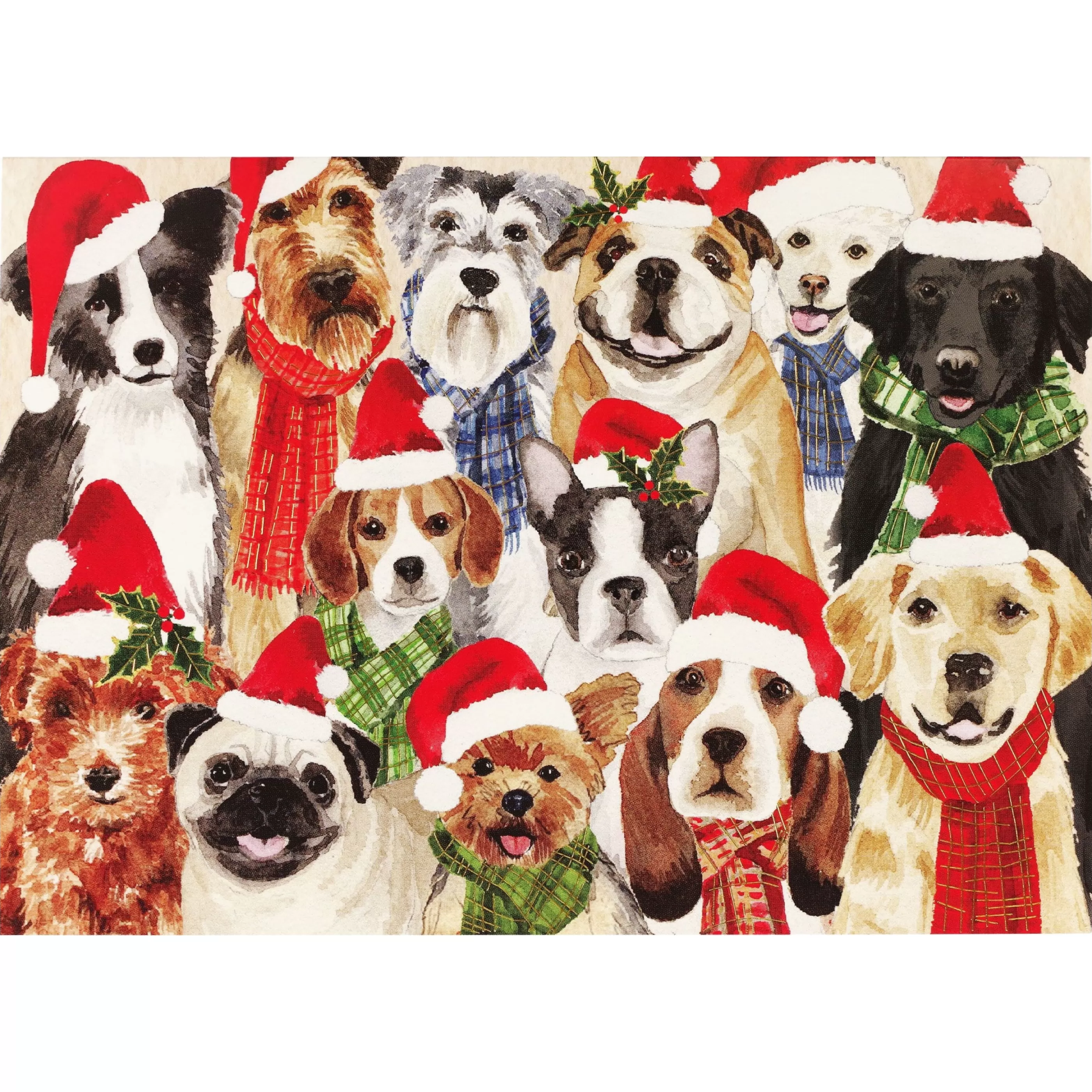 Peter Pauper Press Deck The Dogs Boxed Holiday Cards Fashion