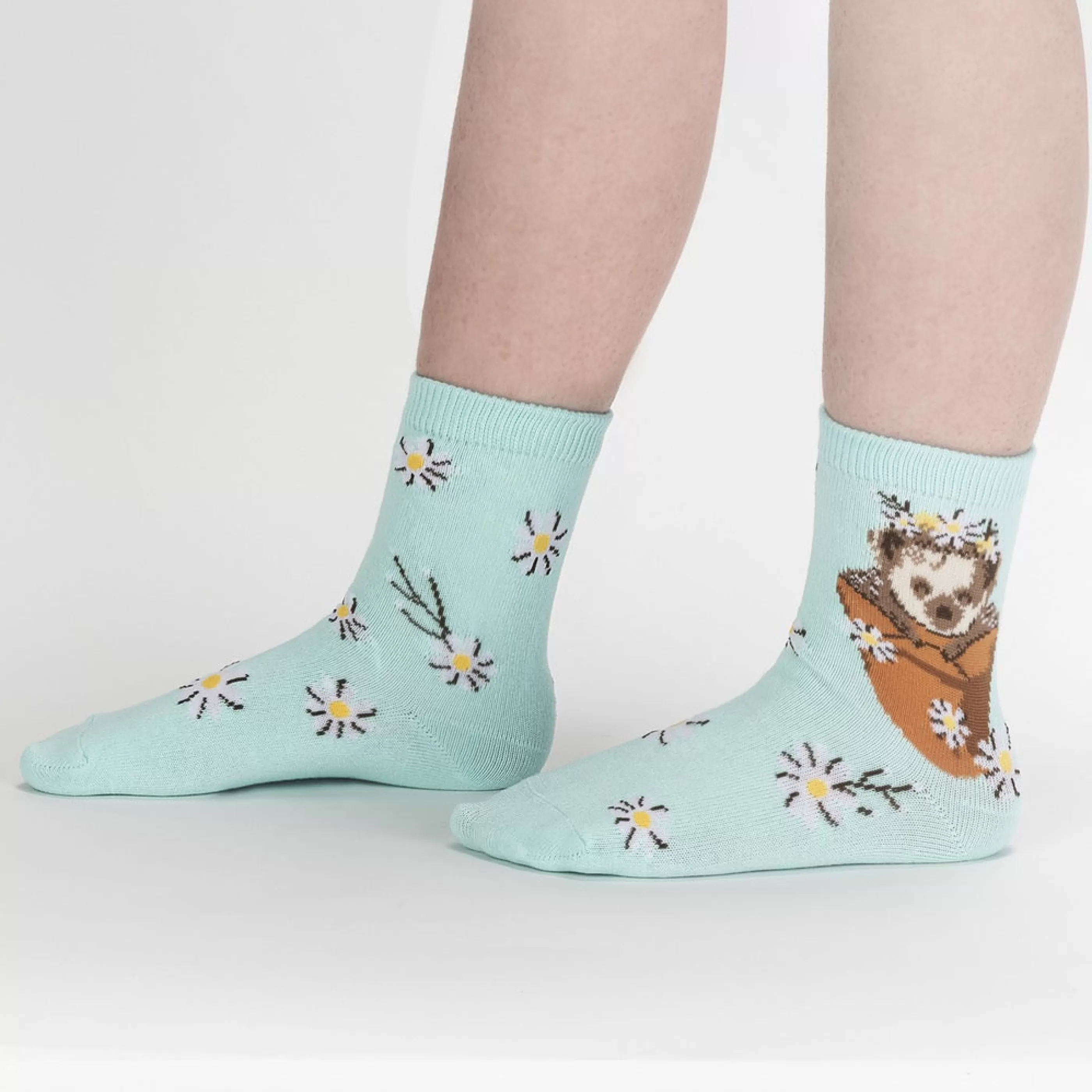 Sock It To Me Kids' Socks>My Dear Hedgehog Junior Crew Socks