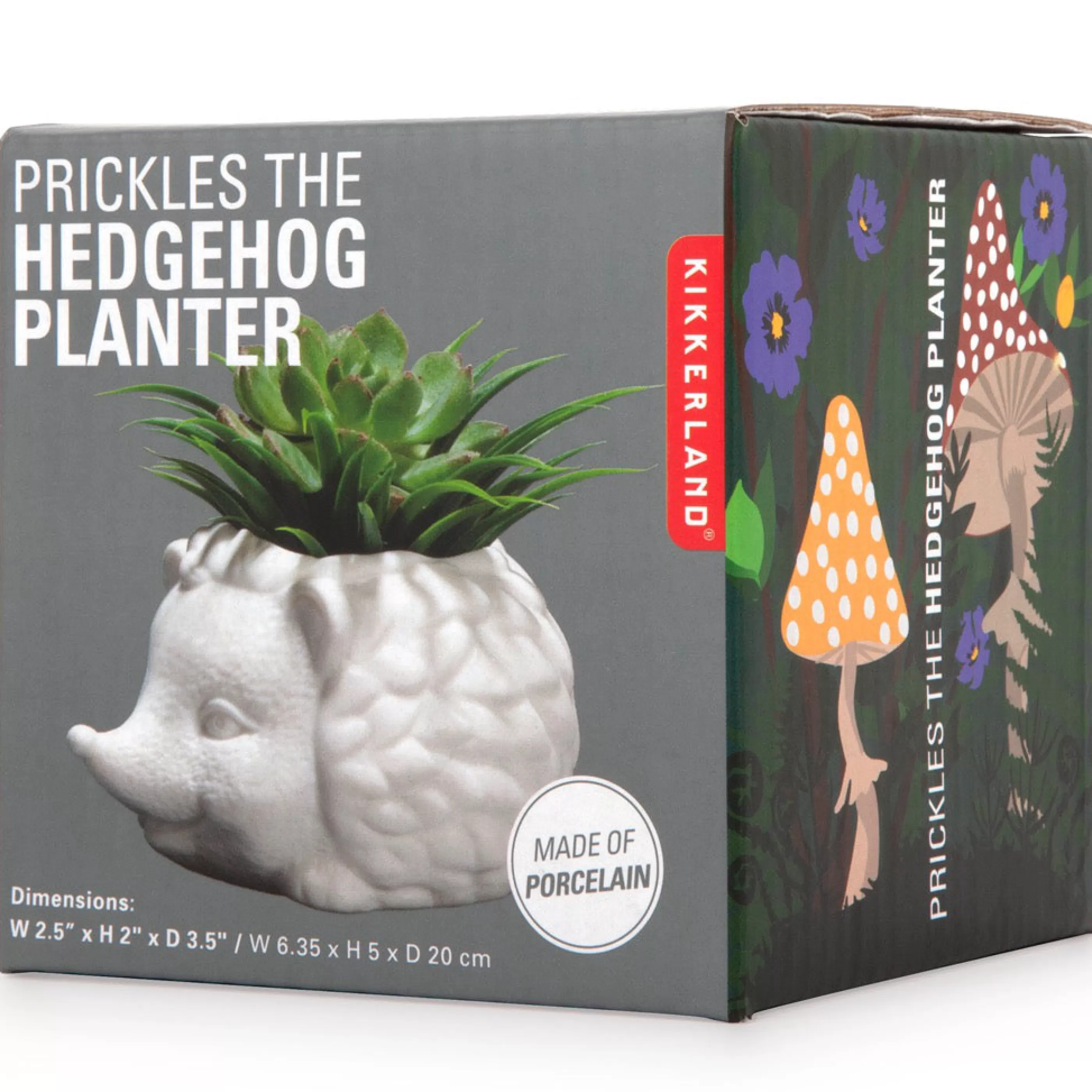 Kikkerland Home Accessories>Prickles The Hedgehog Planter