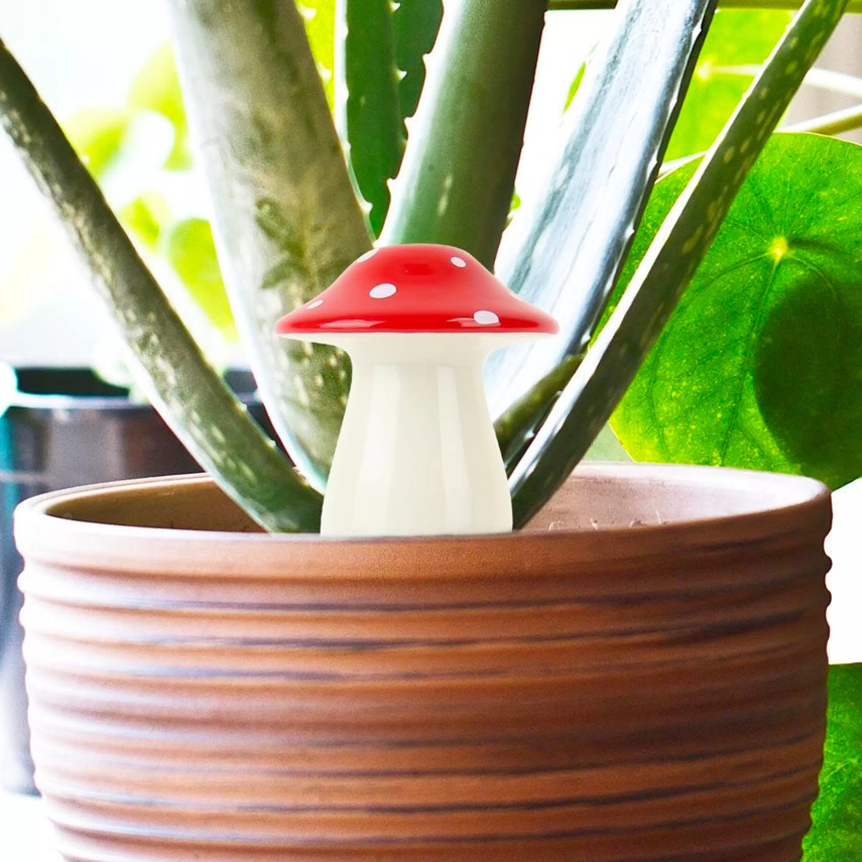 Gift Republic Home Accessories>Self Watering Mushroom