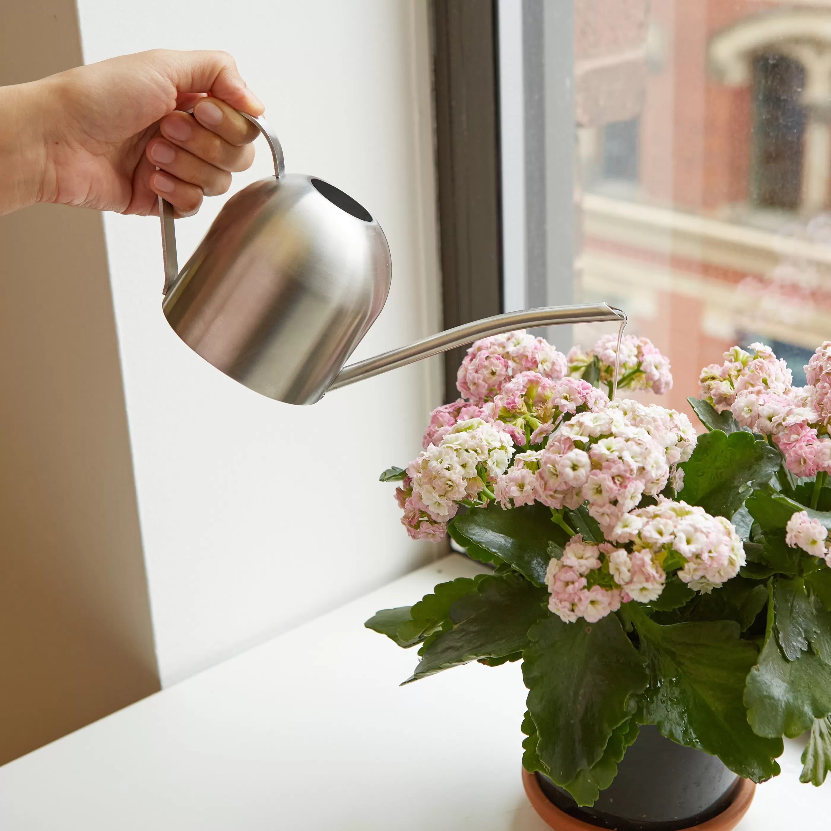 Kikkerland Home Accessories>Stainless Steel Watering Can